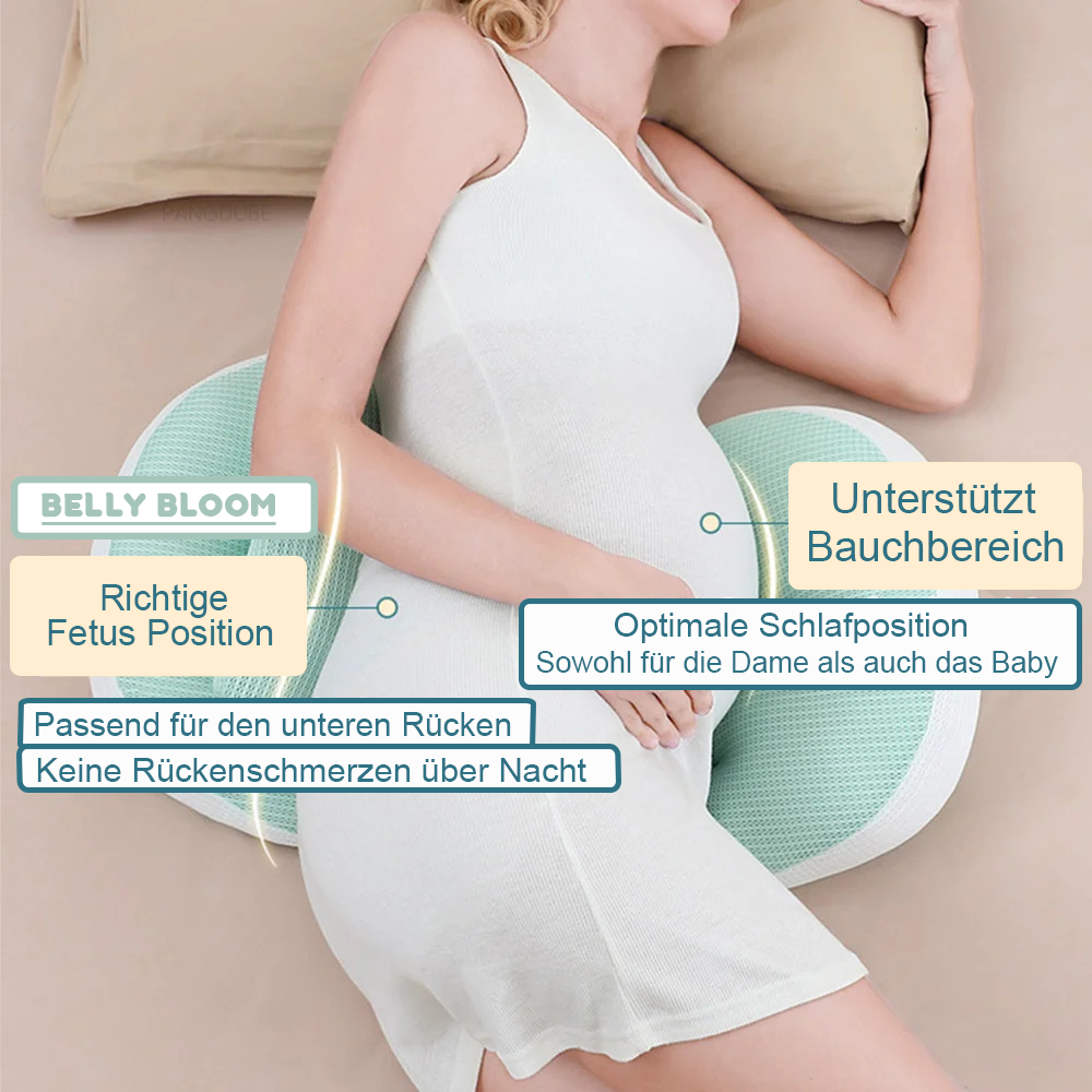 SleepPillow for Pregnancies